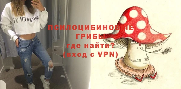 гашик Алзамай