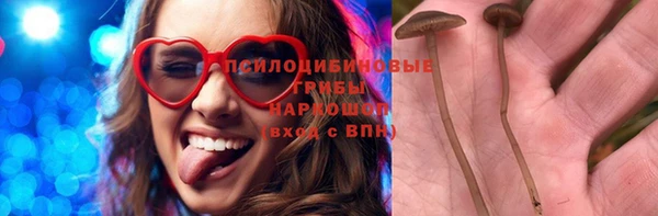 гашик Алзамай
