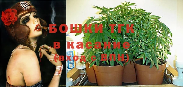 гашик Алзамай