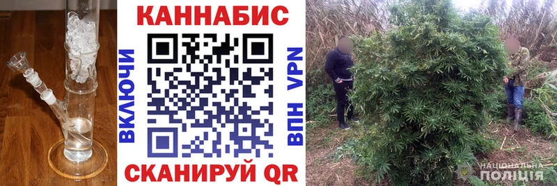 Бошки марихуана LSD WEED  Камбарка 